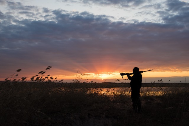 A man stands in a field holding a rifle, surrounded by tall grass and open sky.