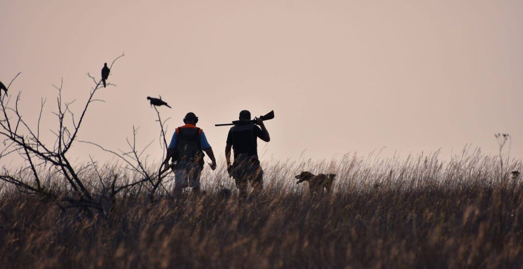Two people walk through a grassy field at dusk one carrying a gun a dog follows