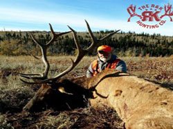 R&K hunts a deer77