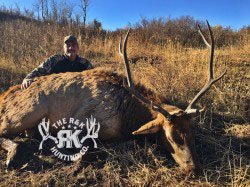 R&K hunts a deer 71