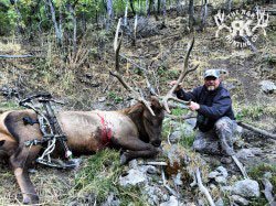 R&K hunts a deer 56