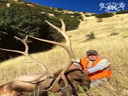 R&K hunts a deer 58