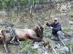 R&K hunts a deer 59