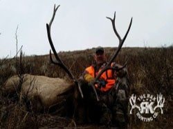 R&K hunts a deer 66
