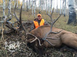 R&K hunts a deer 67