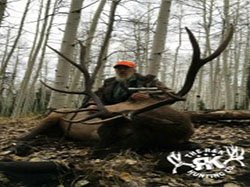R&K hunts a deer 75