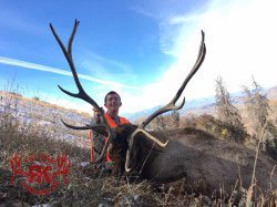 Mule Deer Hunting Outfitters In Wyoming08
