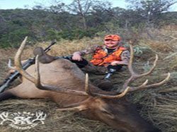 R&K hunts a deer 76