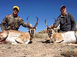 Utah Pronghorn Antelope Hunting