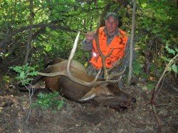 A man hunting for deer with precision