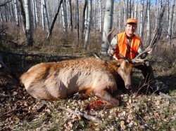 Guided Hunts 2013 Harvested Mule Deer and Elk