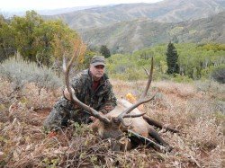 Guided Hunts 2013 Harvested Mule Deer and Elk