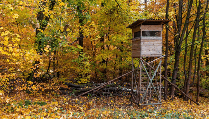3 Pro Tips For Setting Up Your Deer Hunting Blind