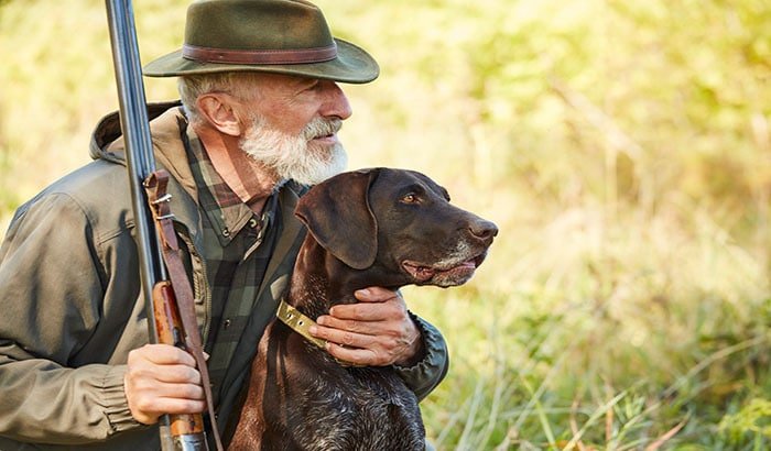 How To Choose Your Next Hunting Dog