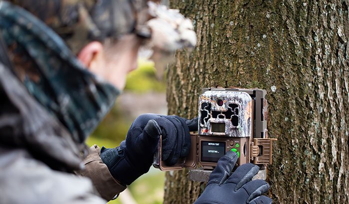 Ways To Use Your Trail Cams Throughout The Off Season