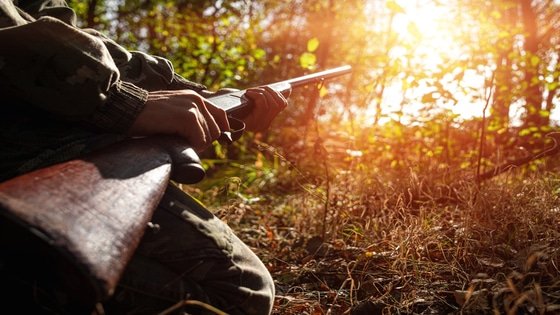 What's the Difference Between a Hunting License and Permit