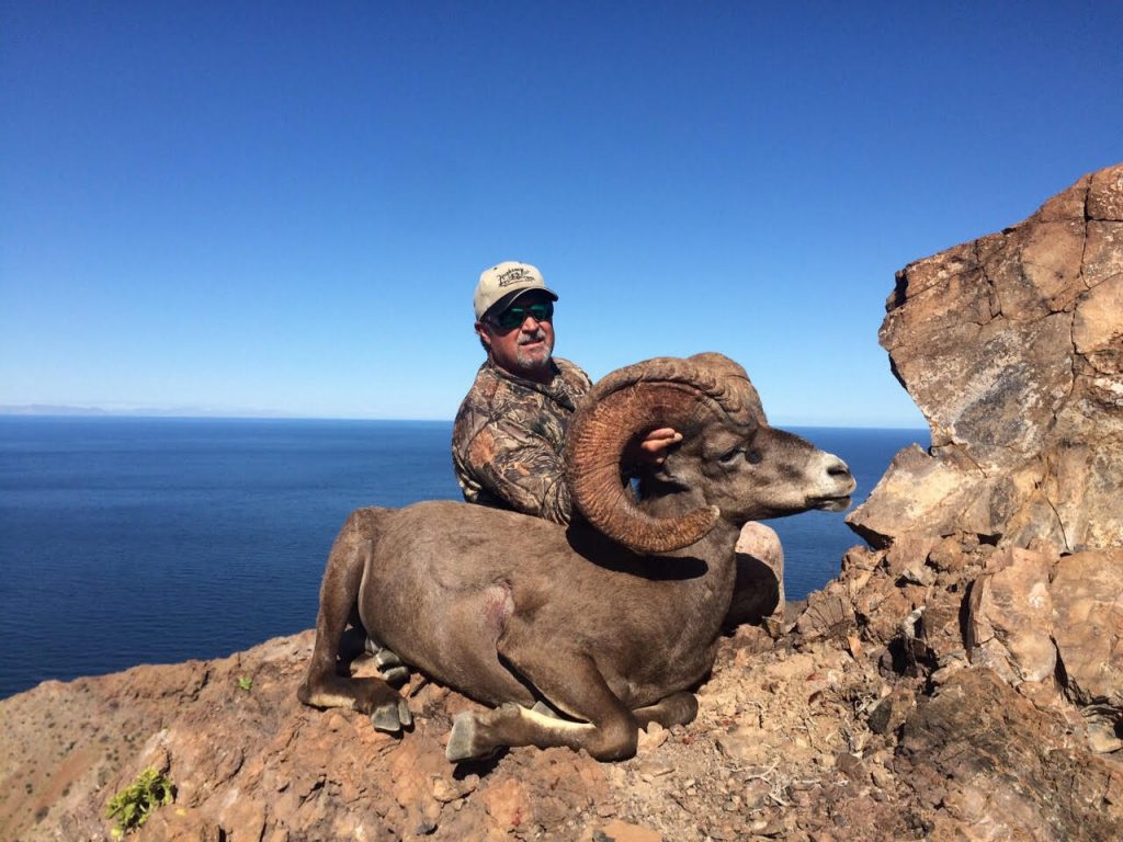 Trophy Big Horn Sheep Hunting in Mexico