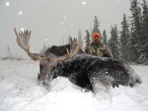 Wyoming Moose Hunting