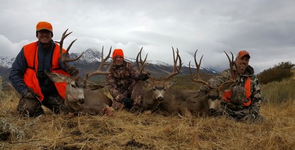 Three Men Hunting, Three Trophy Mule Deer, Mountains, Hunting, Utah Outfitters