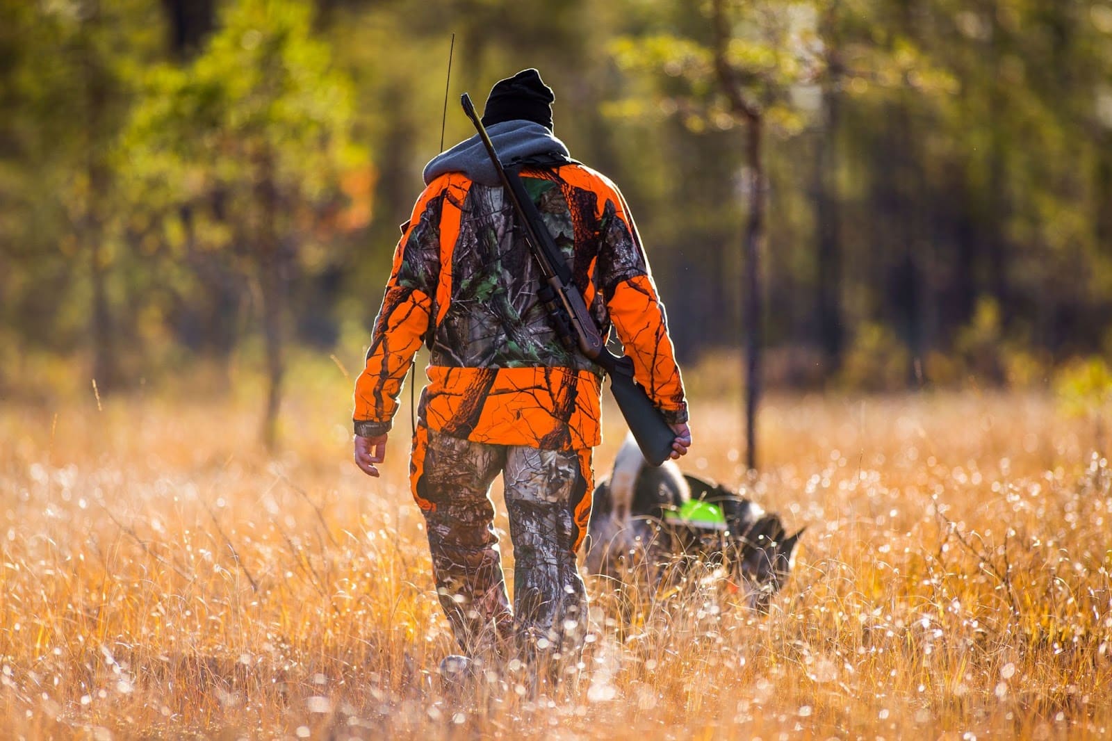A man in an orange hunting jacket walks through tall grass during a guided hunt.