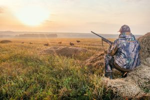 Hunter in camouflage aiming a rifle at ducks in a field at sunrise.