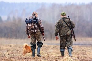 Two hunters in camouflage walking through a field with a dog and carrying rifles.