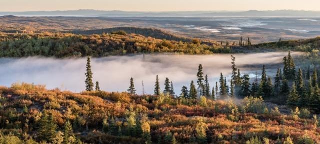 Panoramic view of a sunlit valley at dawn with a low layer of mist settled between rolling hills and evergreen trees.