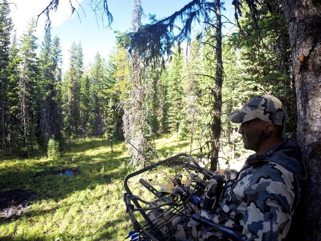 A hunter in camouflage gear and face paint sitting in a tree stand with a compound bow, overlooking a forest clearing.