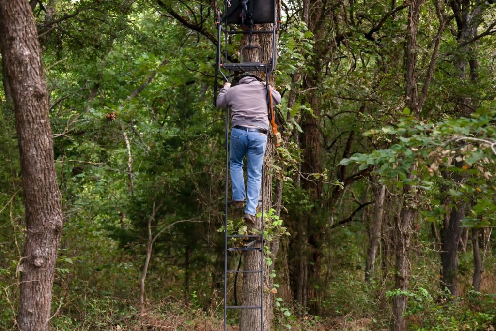A man in a sweatshirt and jeans climbing a ladder stand attached to a tree in a wooded area.