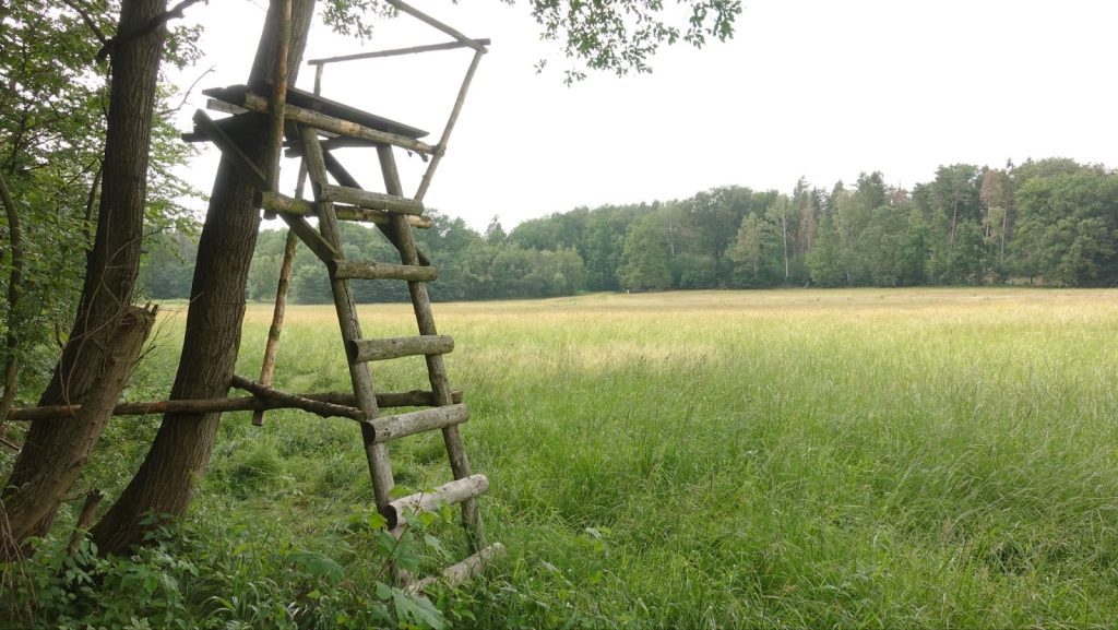 A rustic, handmade wooden ladder stand built against a tree overlooking a wide, grassy field bordered by a forest.