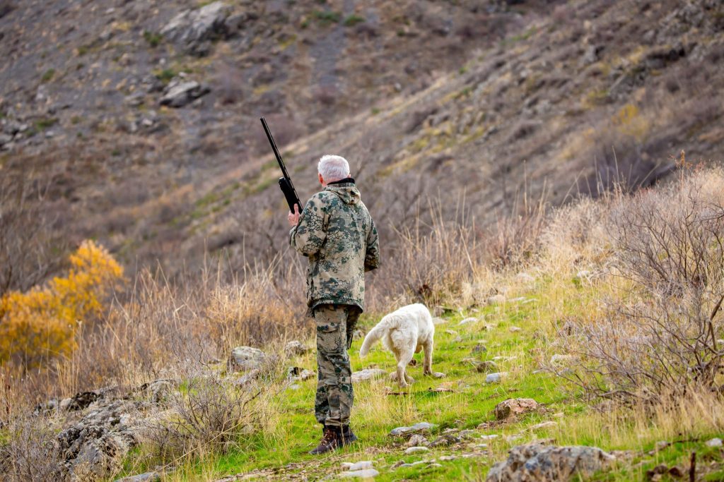 A hunter in camouflage gear holding a rifle walks up a grassy hillside alongside a white dog.