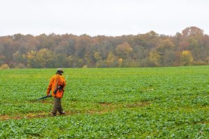 A man in an orange jacket walks through a grassy field under a clear blue sky
