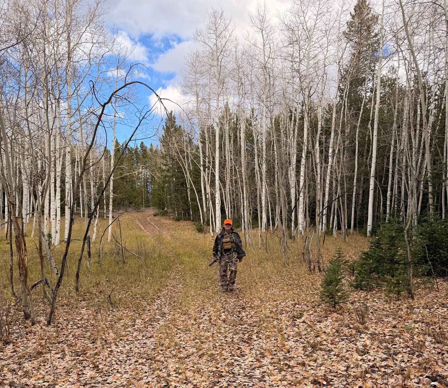 Steve hiking through the aspens on the way to the high-country blind.